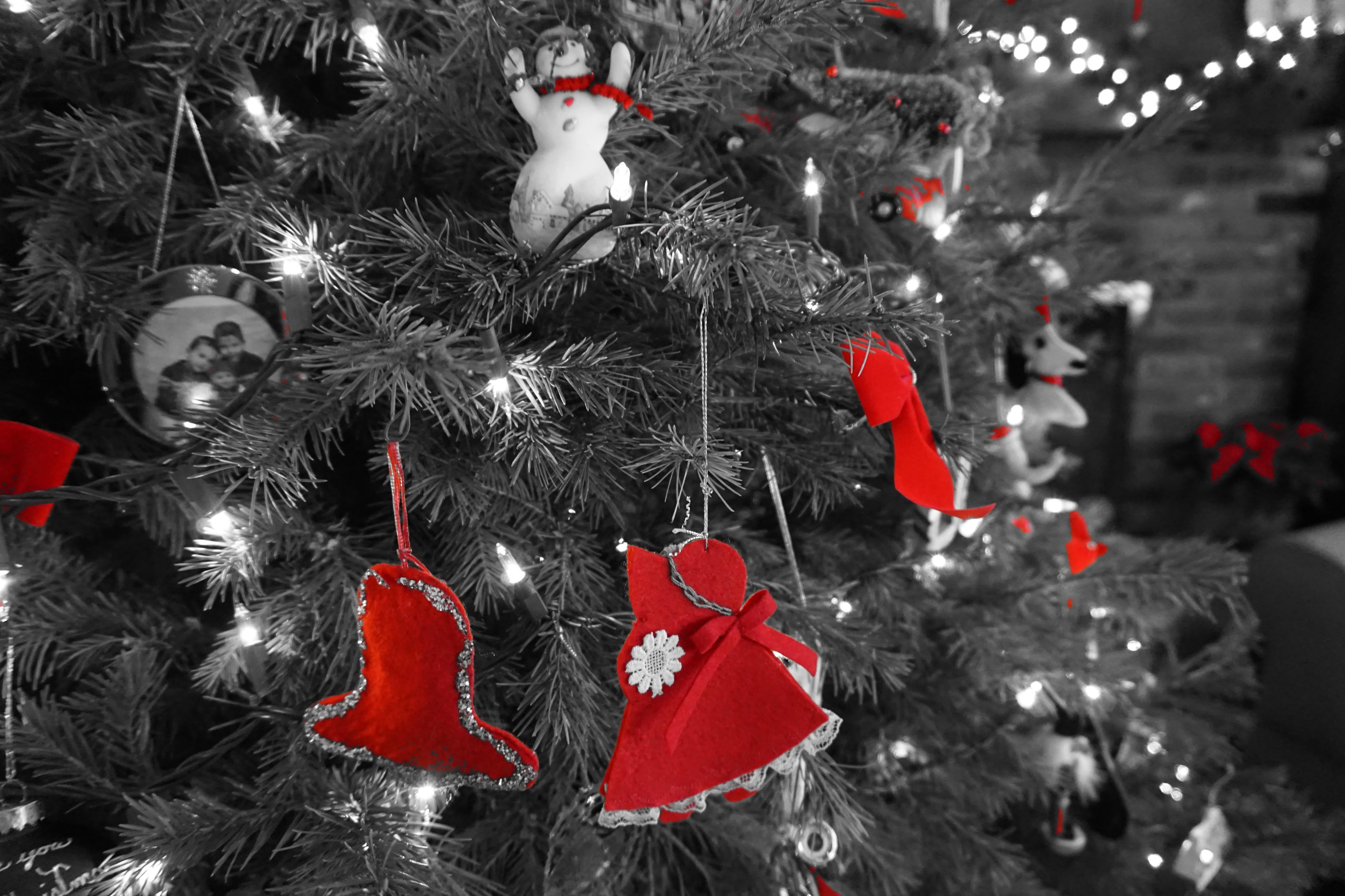 Season's Grieving: Finding Hope and Healing During the Holidays