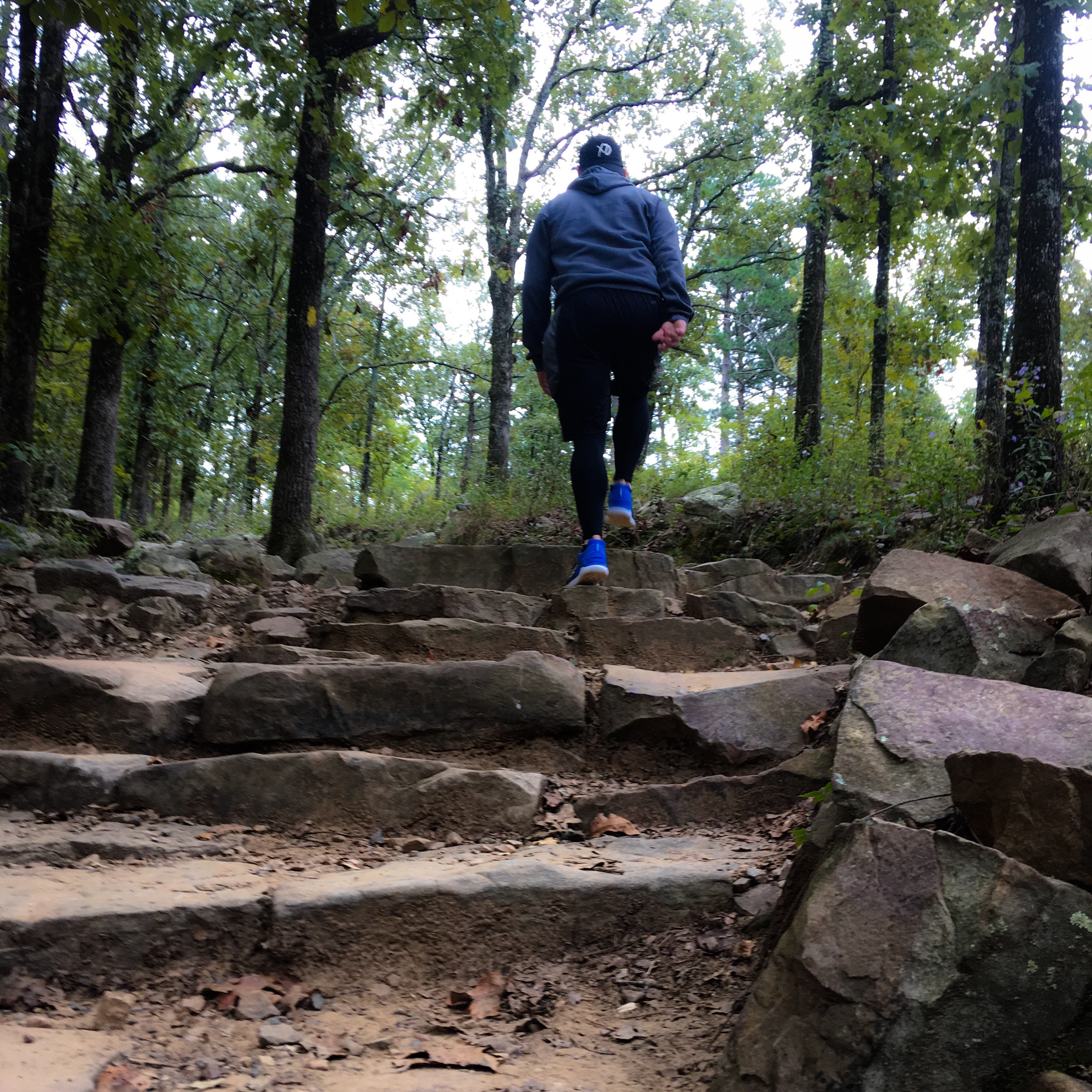 The Walk to Wisdom