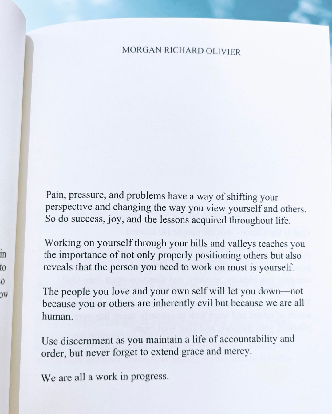 The Strength That Stays (Paperback)