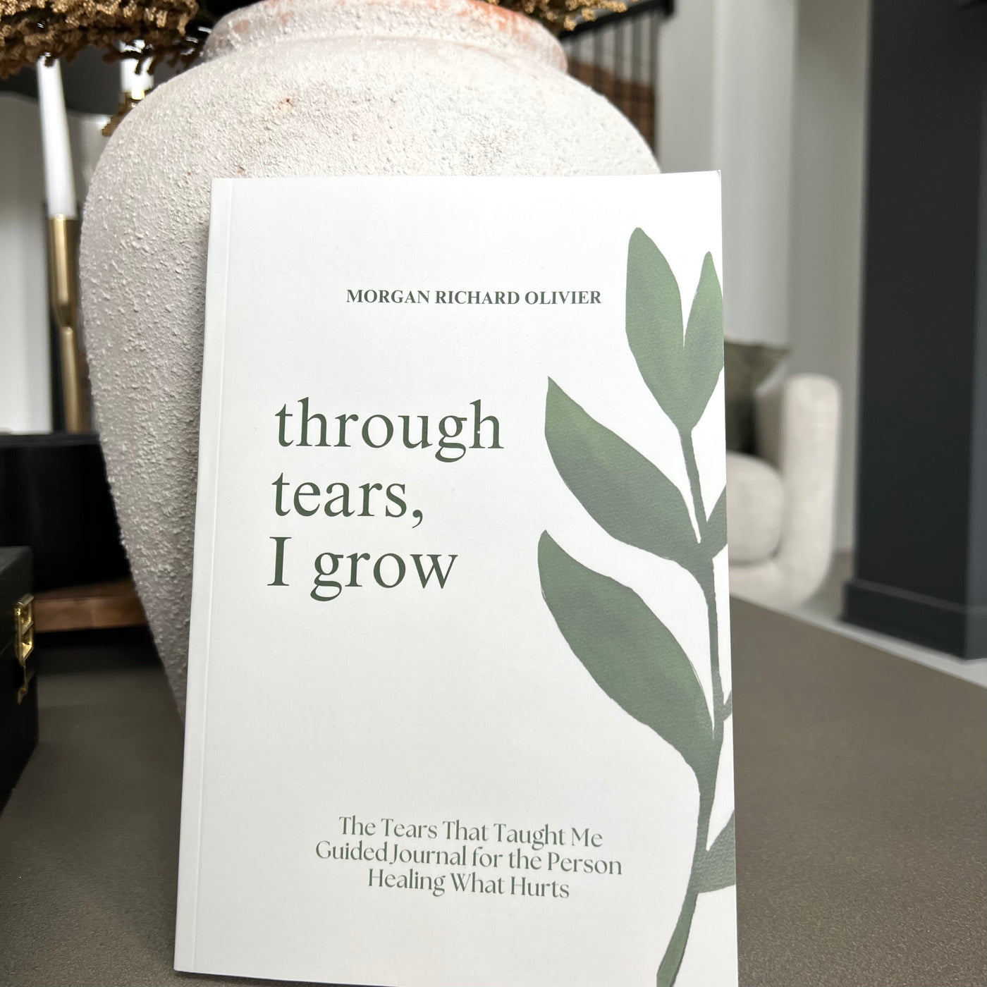 Through Tears, I Grow: The Tears That Taught Me Guided Journal for the Person Healing What Hurts