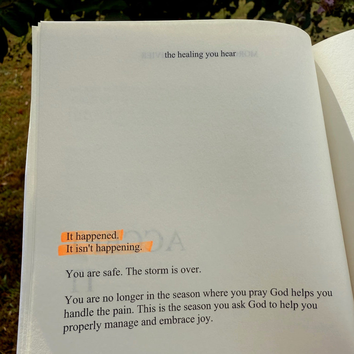 The Healing You Hear PRE-ORDER